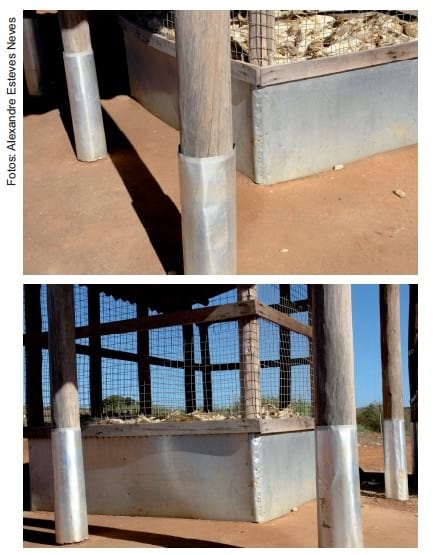 Recomendações de boas práticas de armazenamento de milho em espiga para agricultura familiar - Image 5