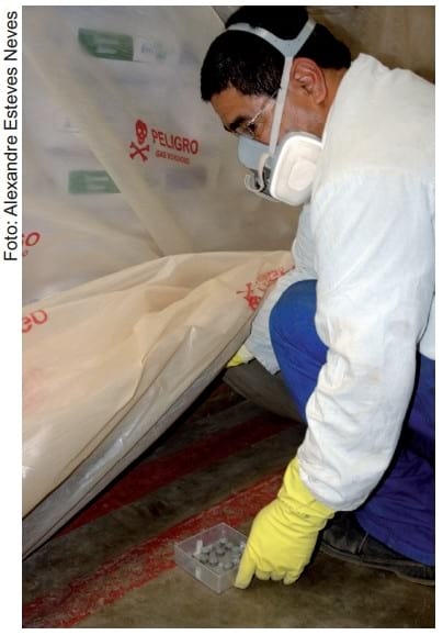 Recomendações de boas práticas de armazenamento de milho em espiga para agricultura familiar - Image 6