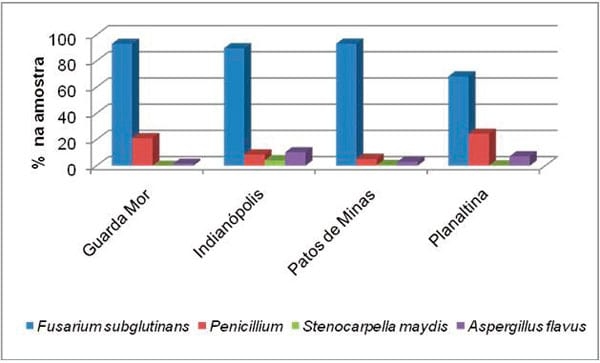 Recomendação de cultivares de milho para a resistência a grãos ardidos - Image 6