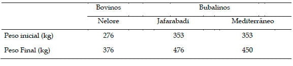Desempenho de bovinos Nelore e Bubalinos das raças Mediterrânea e Jafarabadi terminados em confinamento - Image 4