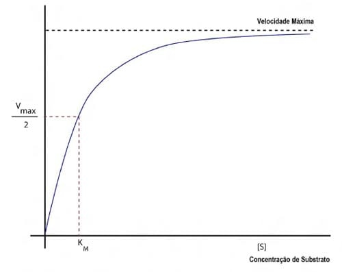 Fitase e suas implicações na digestão e absorção de nutrientes - Image 7
