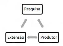TRANSFERÊNCIA E GERAÇÃO DE TECNOLOGIA COM FOCO NA QUALIDADE DO LEITE - Image 1