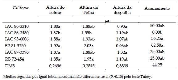 Produção, características morfológicas e de maturação de cultivares de cana-de-açúcar com diferentes ciclos de amadurecimento para uso na alimentação animal na região de Barbacena/MG, Brasil - Image 2
