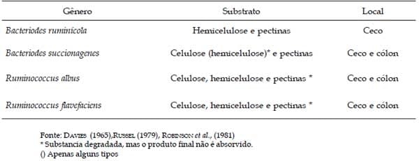Fibra na alimentação de suínos - Image 4