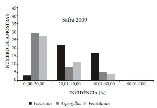 Ocorrência de fungos e aflatoxinas em grãos de milho - Image 1