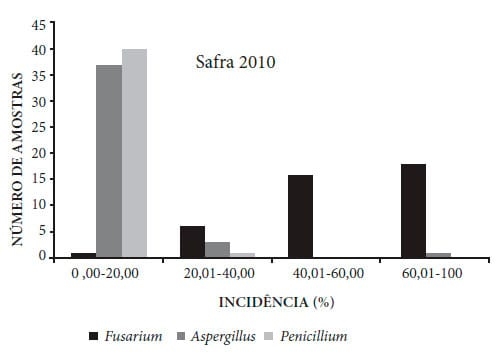 Ocorrência de fungos e aflatoxinas em grãos de milho - Image 2