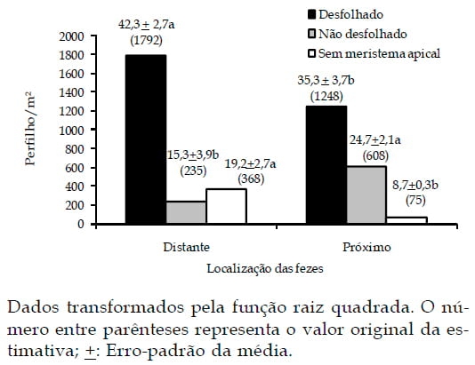 Classes de perfilhos em pasto de capim-braquiária em relação à localização das fezes bovinas - Image 4