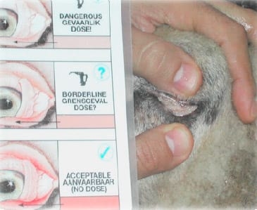 Método famacha tratamento seletivo no controle do Haemonchus contortus - Image 1