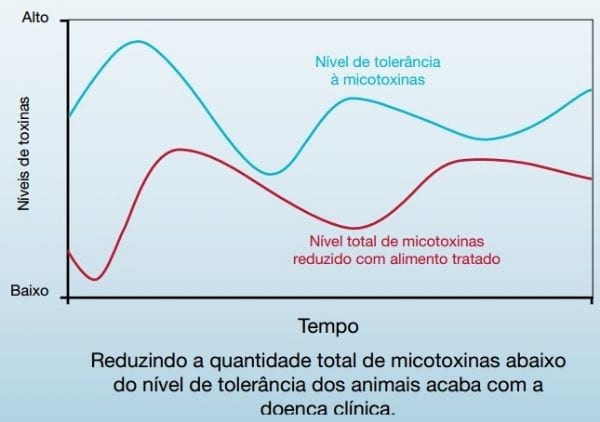 Micotoxicose: A doença silenciosa - Image 6