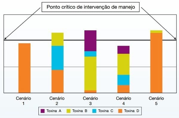 Micotoxicose: A doença silenciosa - Image 4