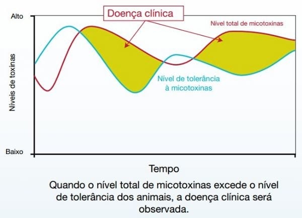 Micotoxicose: A doença silenciosa - Image 5