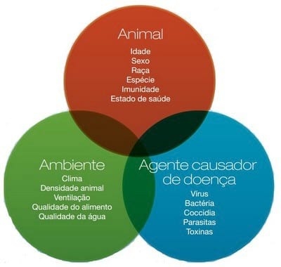 Micotoxicose: A doença silenciosa - Image 1