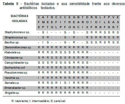 Influência da contaminação bacteriana sobre os parâmetros espermáticos de suínos e perfil de resistência dos agentes isolados - Image 5