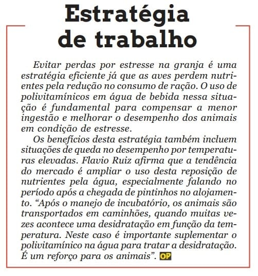 Polivitamínico após estresse reduz perdas e melhora desempenho - Image 2