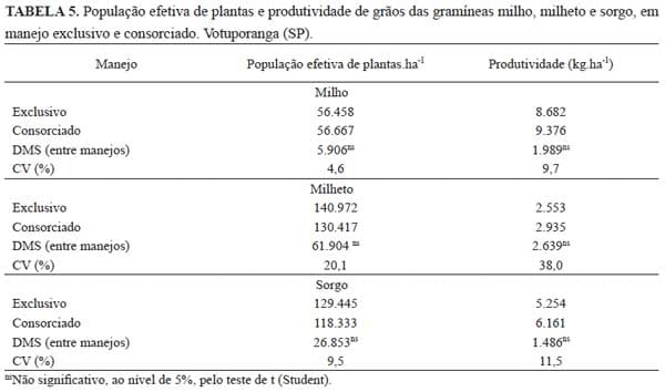 Manejo de gramíneas cultivadas em forma exclusiva e consorciada com Brachiaria ruziziensis e eficiência do nitrogênio aplicado em cobertura - Image 7