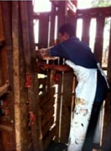 Parceria da CATI e APTA regional apresenta os primeiros resultados de incentivo à pecuária de corte de pequenos produtores - Image 2