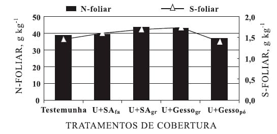 Utilização de uréia em misturas com sulfato de amônio ou com gesso na cultura de milho - Image 10