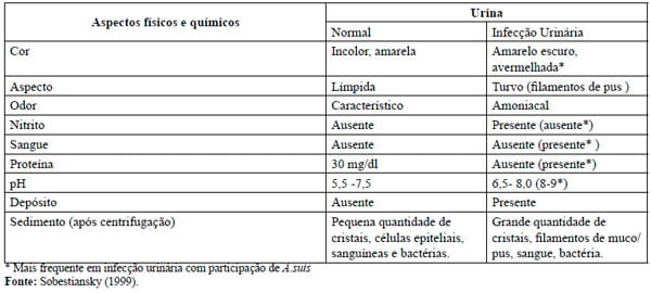 Infecção urinária em fêmeas suínas em produção - Image 1