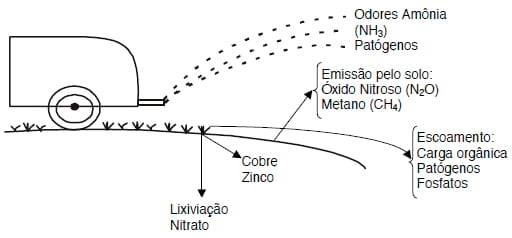 Sustentabilidade ambiental da suinocultura - Image 1