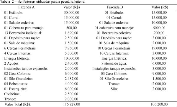 Análise comparativa dos custos de produção de duas propriedades leiteiras, no município de Unaí-MG, no período de 2003 e 2004 - Image 2