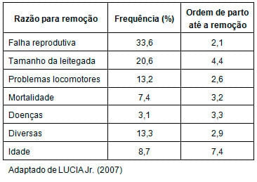 Problemas locomotores e o impacto sobre a longevidade da fêmea - Image 2