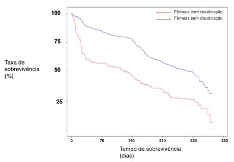 Problemas locomotores e o impacto sobre a longevidade da fêmea - Image 5