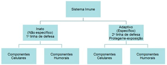 Imunidade dos leitões recém-nascidos, interações com MOS e Imunoglobulinas do ovo ( IgY) - Image 1