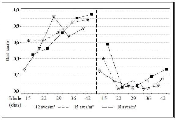Mensuração de problemas locomotores e de lesões no coxim plantar em frangos de corte - Image 7