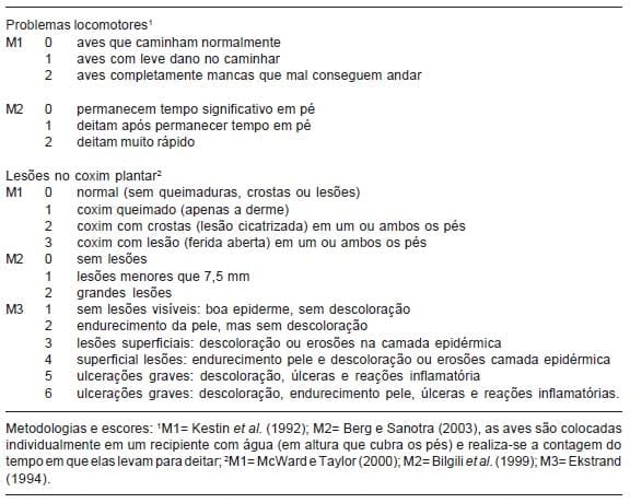 Mensuração de problemas locomotores e de lesões no coxim plantar em frangos de corte - Image 1