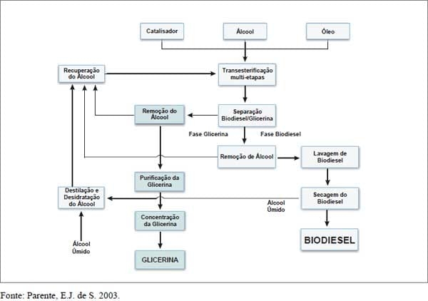 O AGRONEGÓCIO DO BIODIESEL: POTENCIALIDADES E LIMITAÇÕES DA UTILIZAÇÃO DA GLICERINA (CO-PRODUTO) NA ALIMENTAÇÃO DE SUÍNOS E DE AVES - Image 1