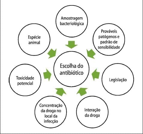 Medicamentos e medicações no controle de doenças entéricas pós-desmame - Image 4