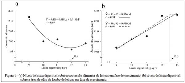 Lisina digestível para leitoas em fase de crescimento - Image 3