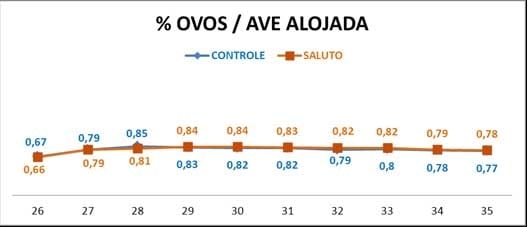 Efeitos da utilização de Óleos Essenciais na alimentação de matrizes pesadas - Image 10