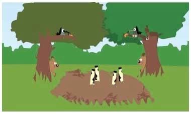 Compostagem de carcaças de grandes animais - Image 5