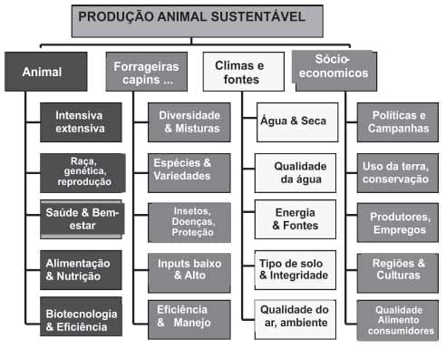 Sustentabilidade de pastagens – manejo adequado como medida redutora da emissão de gases de efeito estufa - Image 2