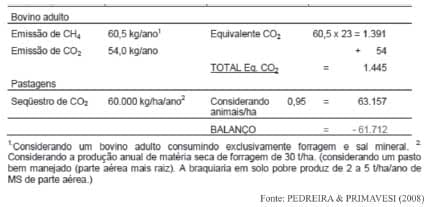 Sustentabilidade de pastagens – manejo adequado como medida redutora da emissão de gases de efeito estufa - Image 18