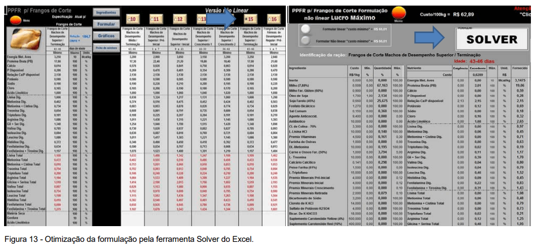 ACURÁCIA E PRECISÃO NA FORMULAÇÃO NÃO LINEAR DE RAÇÃO PARA FRANGOS DE CORTE: AVANÇO E OTIMIZAÇÃO DE RESULTADOS - Image 35