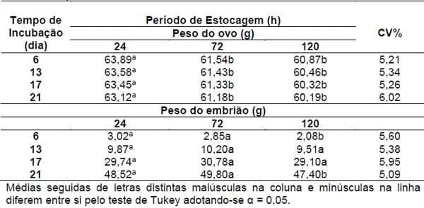 Parâmetros que afetam o desenvolvimento embrionário de pintos de corte - Image 2