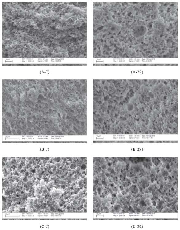 Efeito do uso de dióxido de carbono (CO2) na microestrutura dos queijos Minas Frescal e Minas Padrão - Image 1
