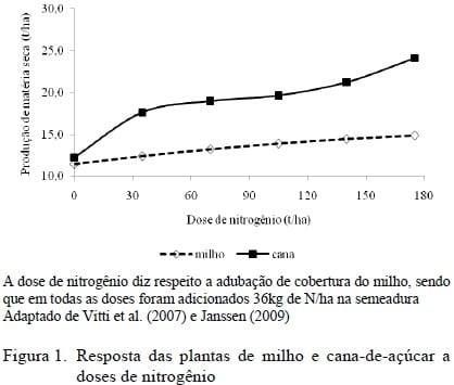 Uso da cana-de-açúcar na alimentação de ruminantes - Image 1