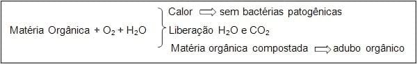 Estratégias para a utilização de camas em aviário - Image 3