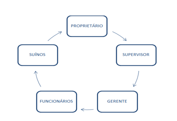 Produção de suínos de primeiro mundo: existe uma arma secreta? - Image 1