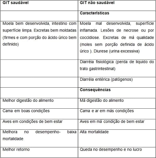 Fisiologia da digestão e da absorção em aves - Image 2
