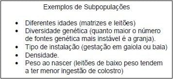 Vacinação e Imunidade de Rebanho Suíno - Image 1