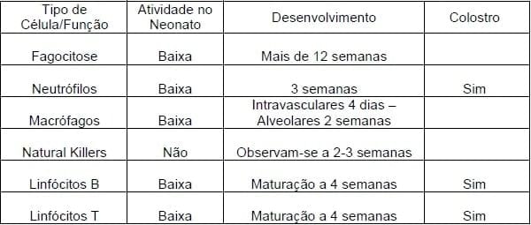 Vacinação e Imunidade de Rebanho Suíno - Image 6
