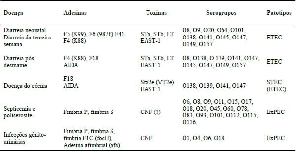 EPIDEMIOLOGIA DAS INFECÇÕES POR Escherichia coli NA SUINOCULTURA BRASILEIRA - Image 1