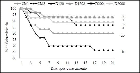 IMPORTÂNCIA DO FORNECIMENTO DE COLOSTRO E DE SUPLEMENTO NUTRICIONAL PARA A SOBREVIVÊNCIA DE LEITÕES DE BAIXO PESO - Image 2
