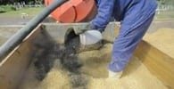 Uso de condicionadores para redução das perdas de nitro gênio durante compostagem de dejeto de suínos. - Image 1