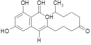 Micotoxinas do Trigo - Image 3