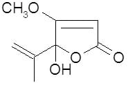 Micotoxinas do Trigo - Image 6